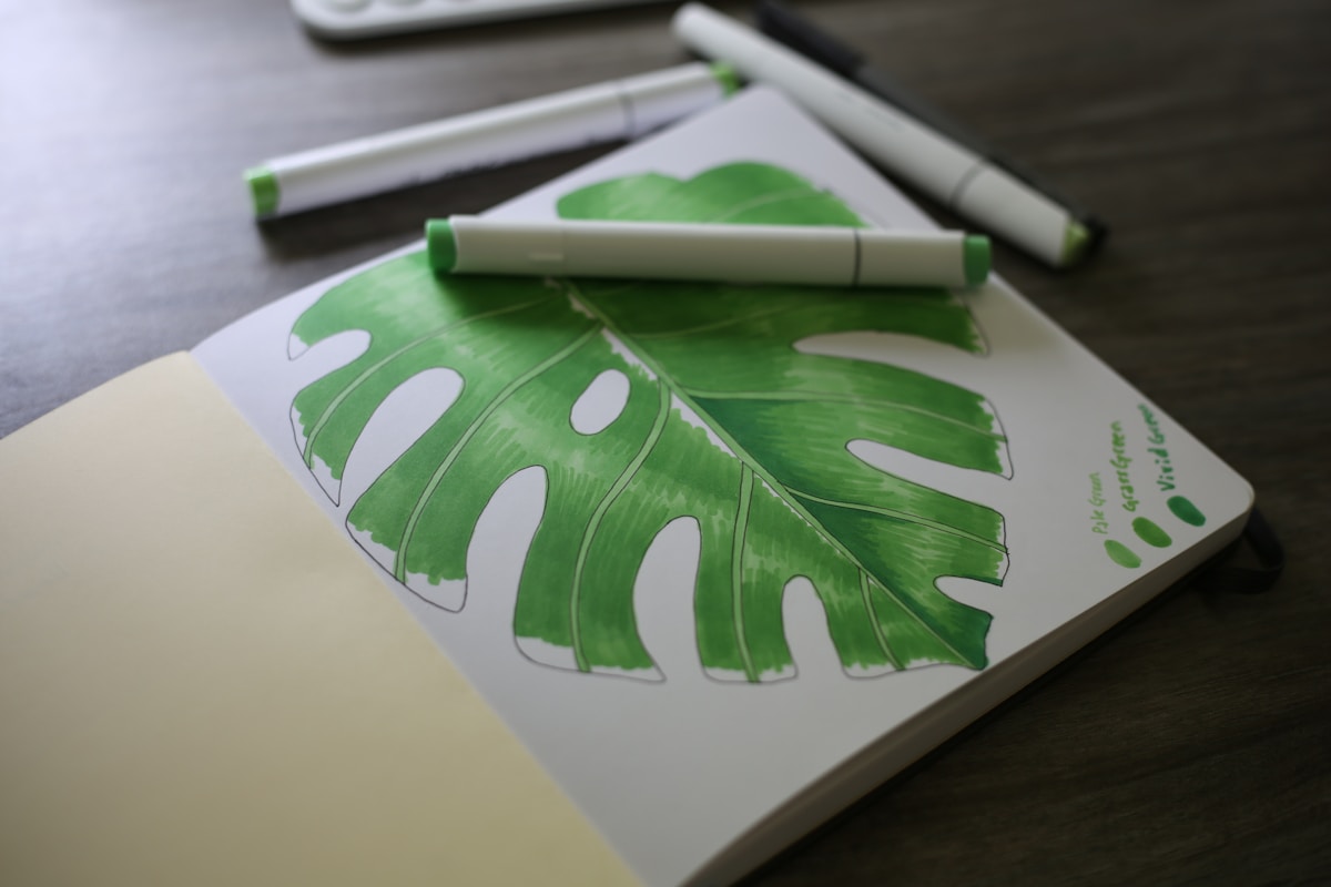 Illustration Showcase